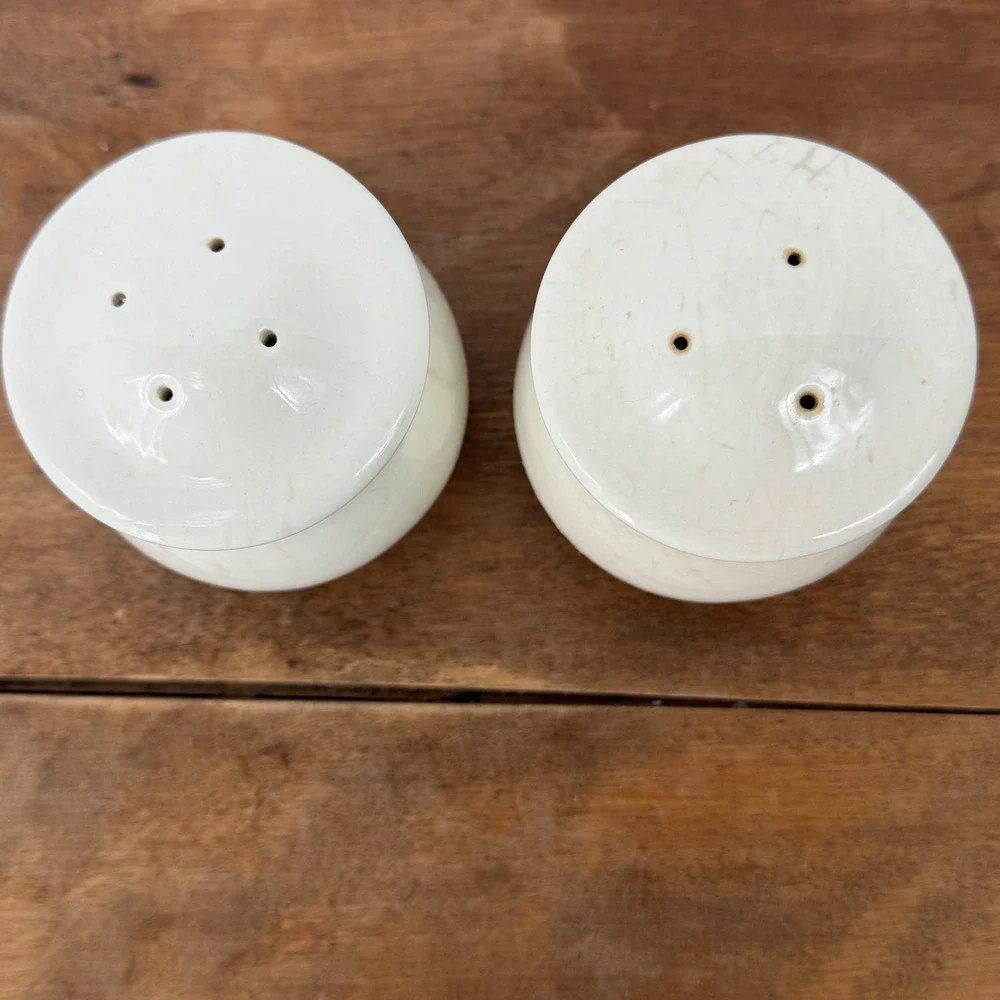 Pfaltzgraff Northwinds‎ Salt Pepper Shakers VTG 90s Blue Green Farmhouse Cottage